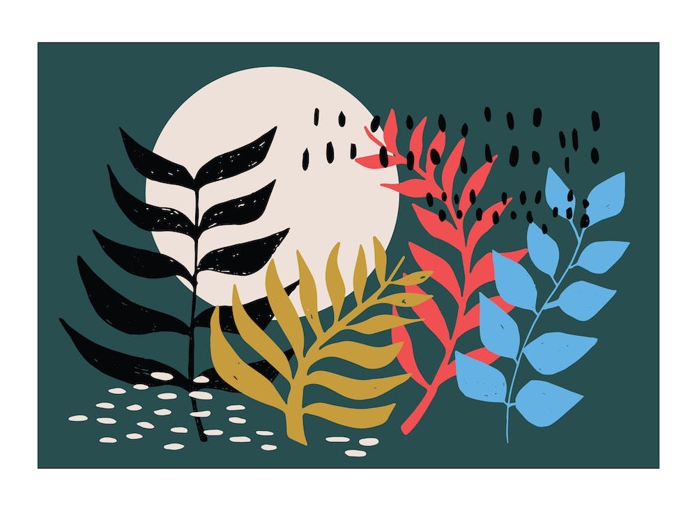 Plant Life