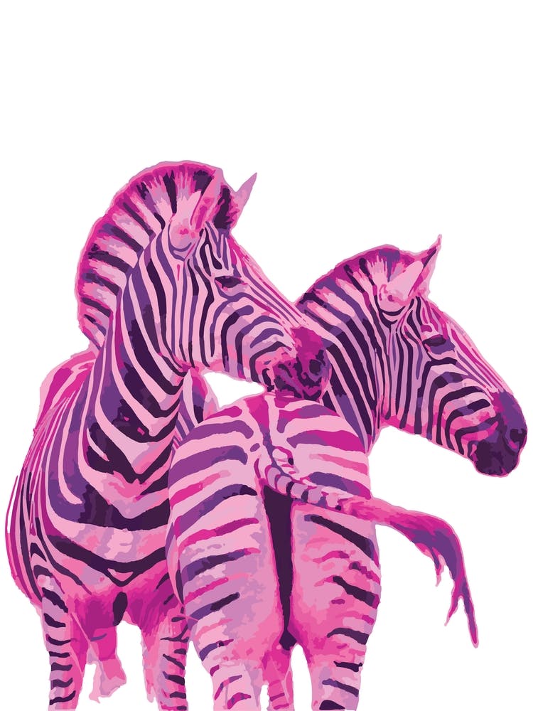 Pink Zebras