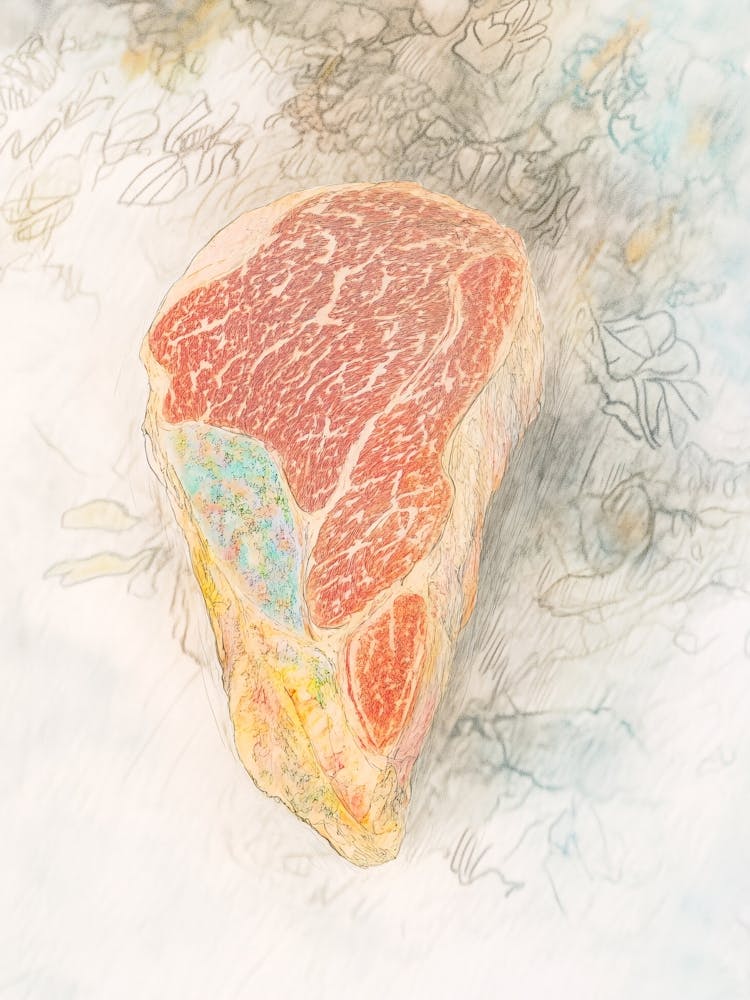 Piece Of Steak 1