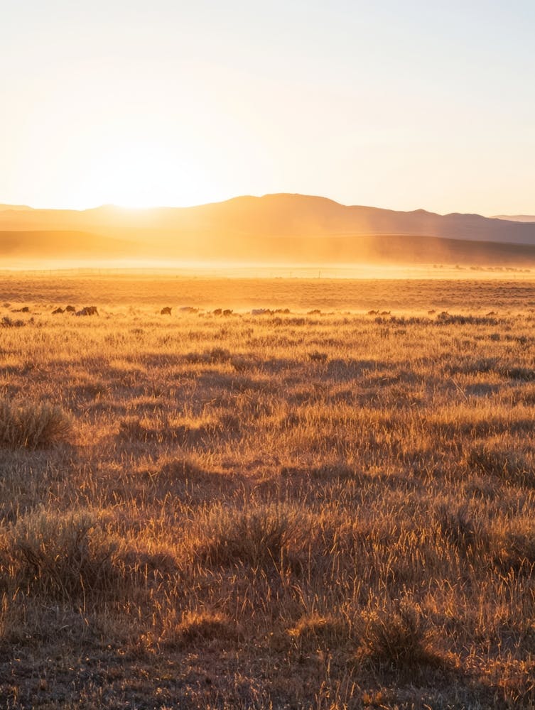Sunrise In The Desert. Generated AI.