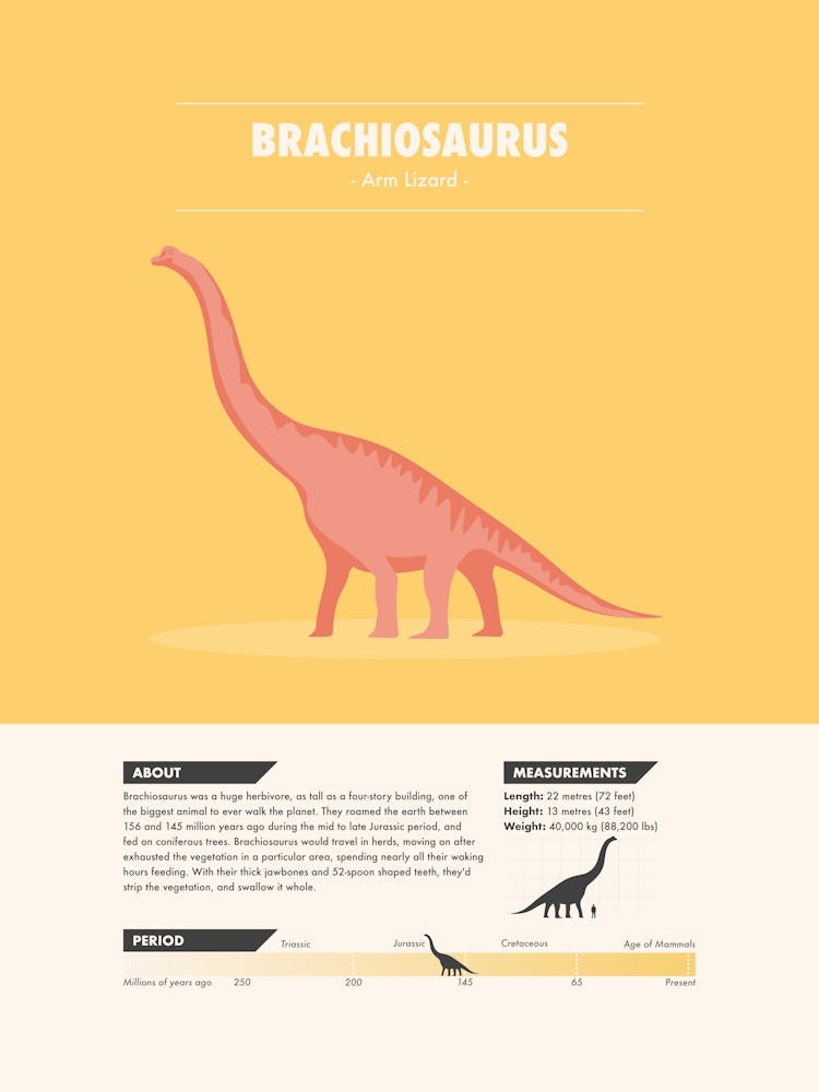 Brachiosaurus - Dinosaur Fact
