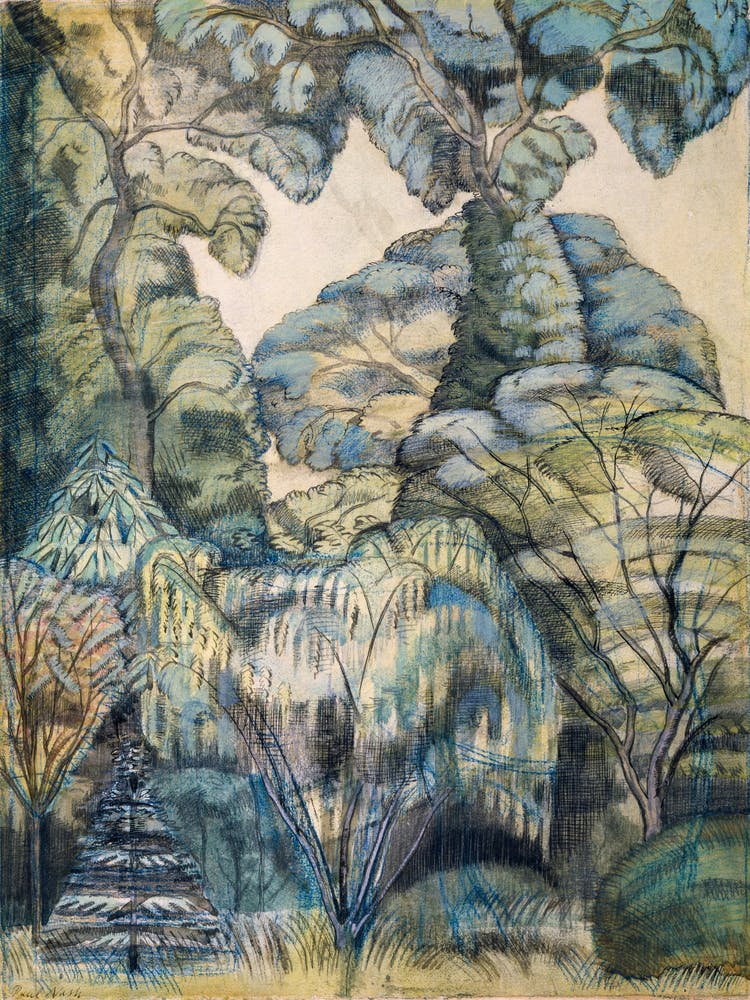 'The Forest'
