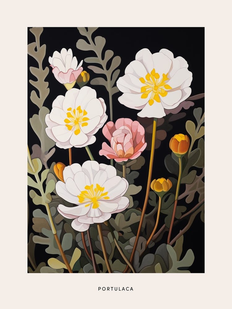 Illustration Florale Portulaca 3 Affiche