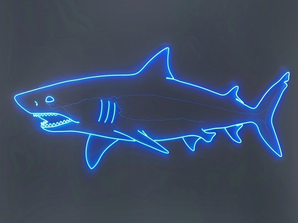 Neon Blue Greenland Shark 1