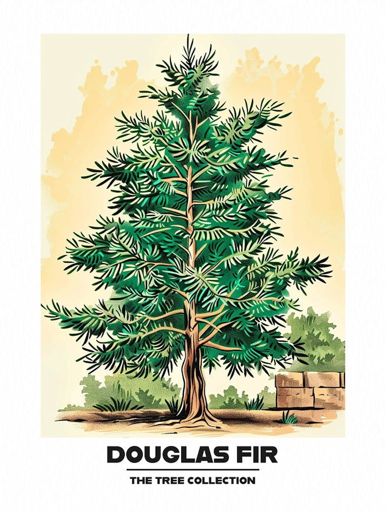 Douglas Fir Tree Storybook Illustration 3 Poster