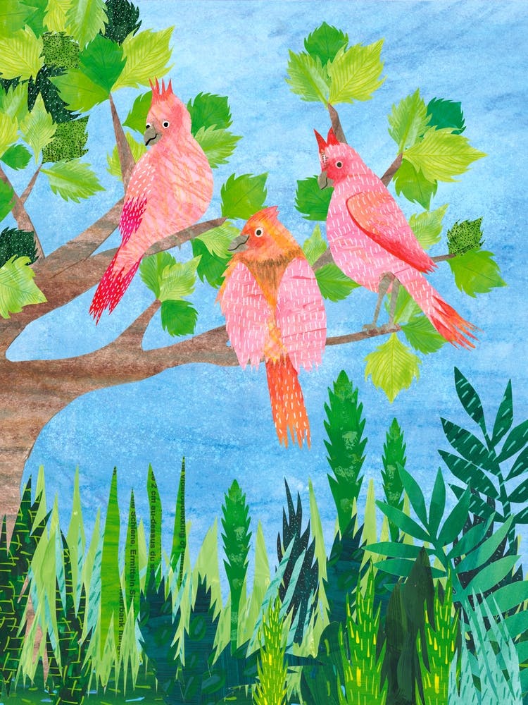 Three Cardinals In A Tree