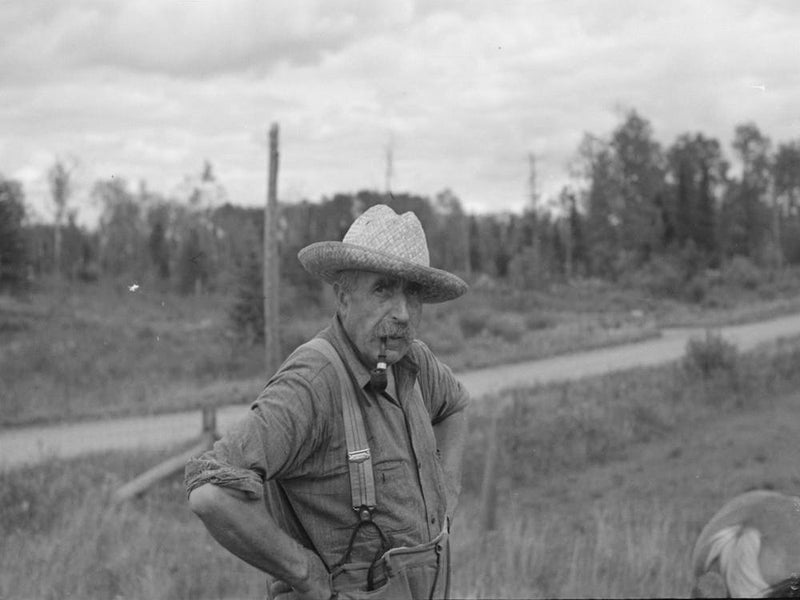 Bachelor Cut Over Farmer, Near Gheen, Minnesota, Lived Same Place Twenty Five Years By Russell Lee