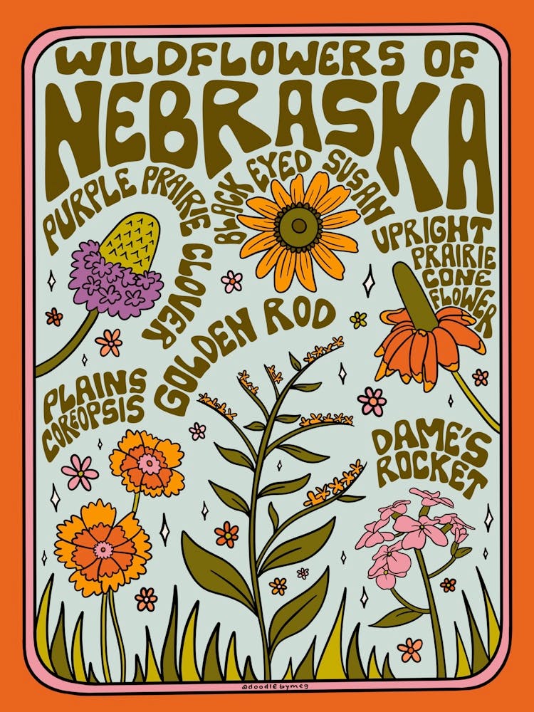 Nebraska Wildblumen
