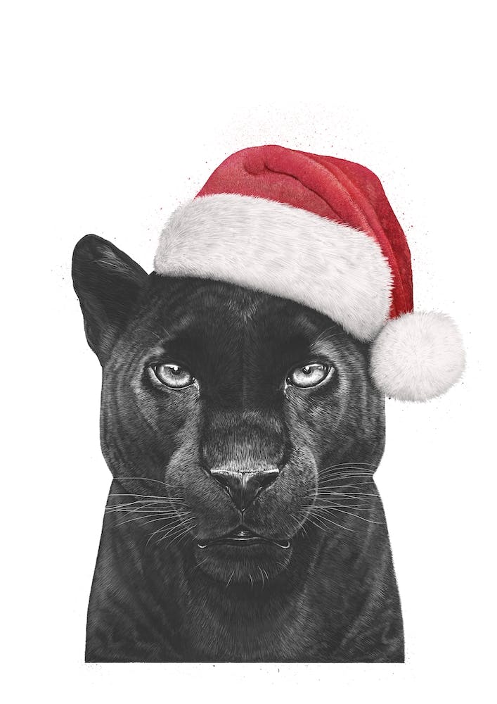 Christmas Panther Boy