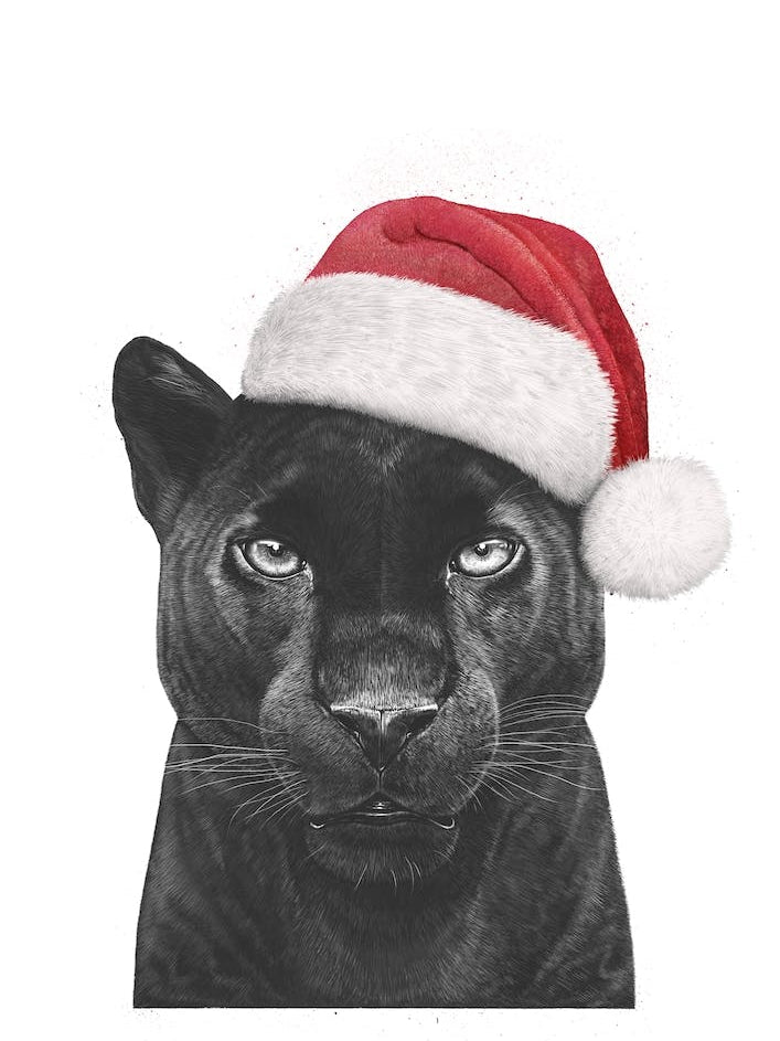 Christmas Panther Boy