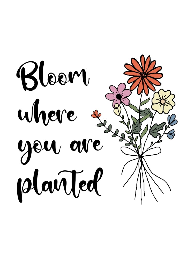 Bloom Where You Are Planted