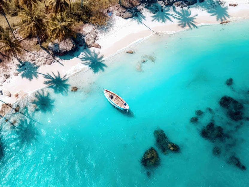 Aerial View Of A Tropical Beach