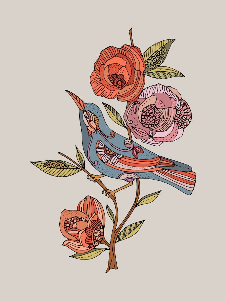 Blue Bird 1