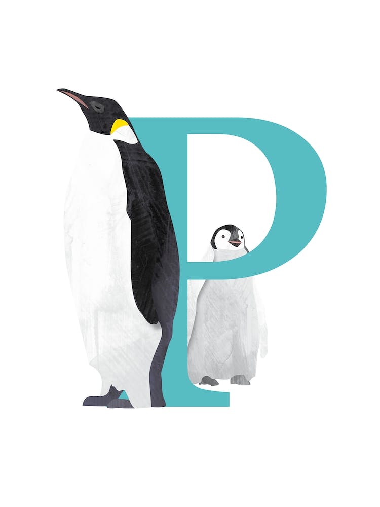 P For Penguin