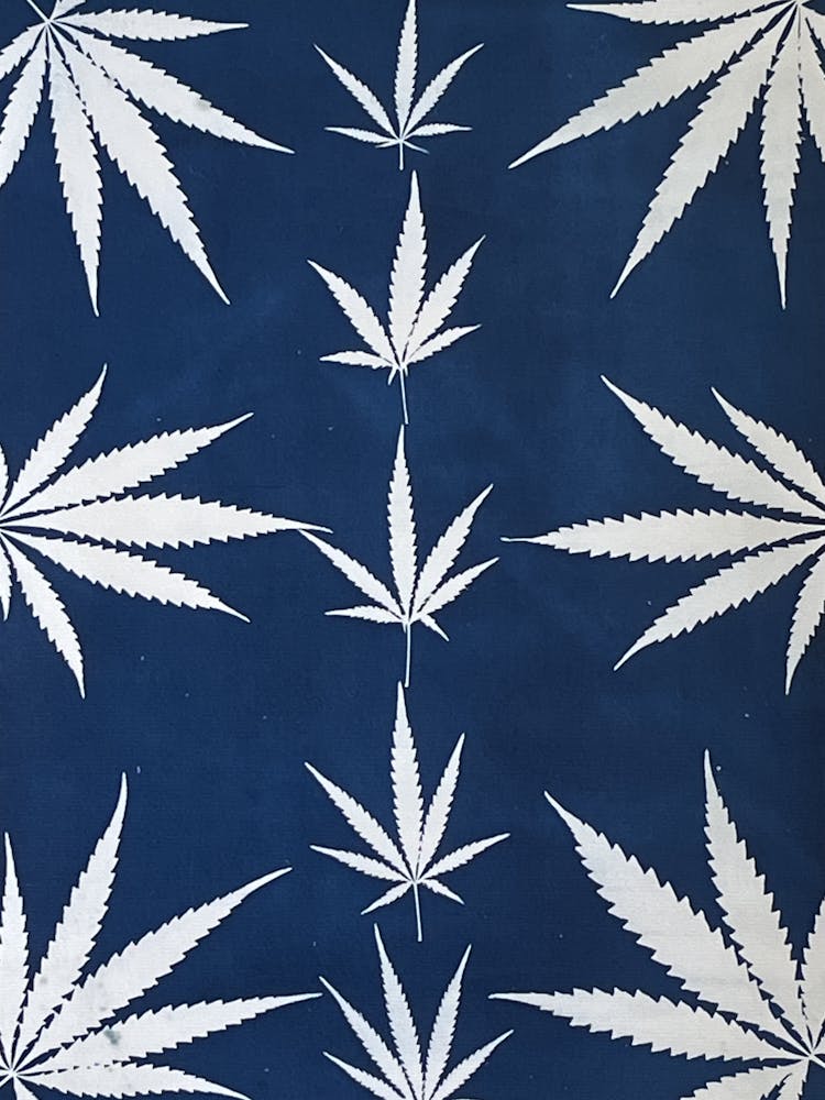 Blue Hemp leaves cyanotype
