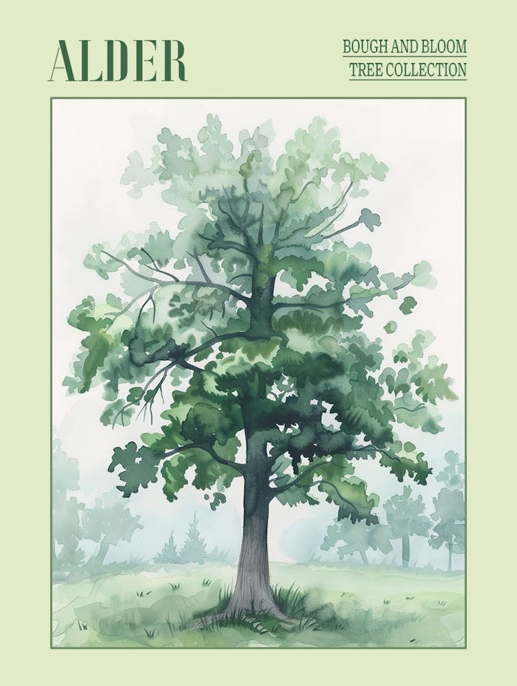 Alder Tree Atmospheric Watercolour Painting 1 Poster