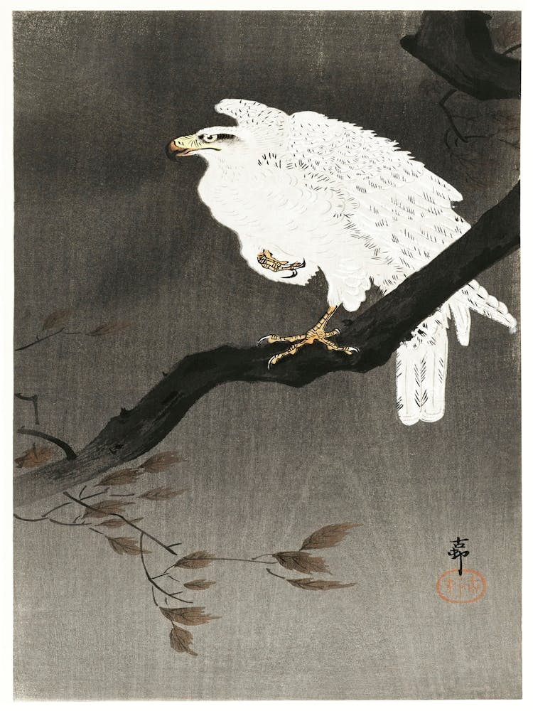 Snowy Eagle On A Tree Branch (1910 1930), Ohara Koson