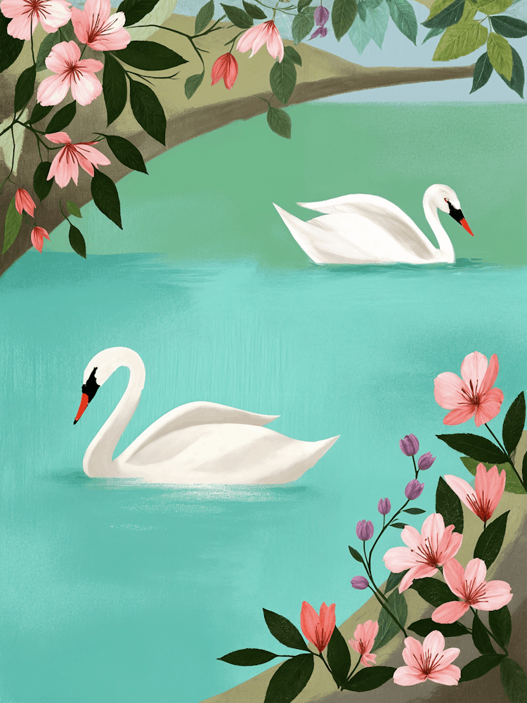 Two Swans no2