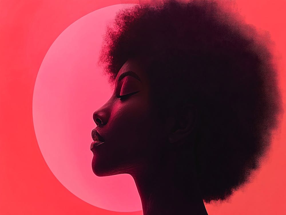 Silhouette Of A Woman with Afro
