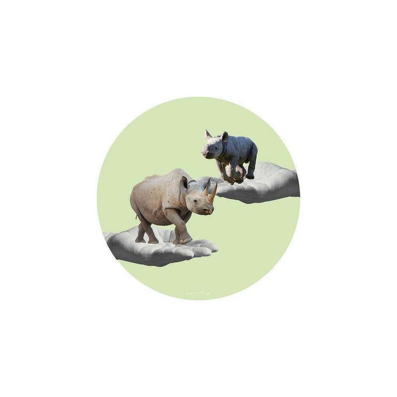 Rhino Collage Square