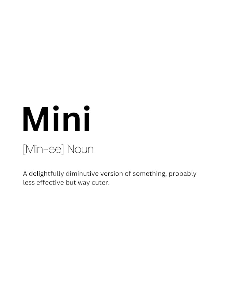 Mini Definition Meaning 1