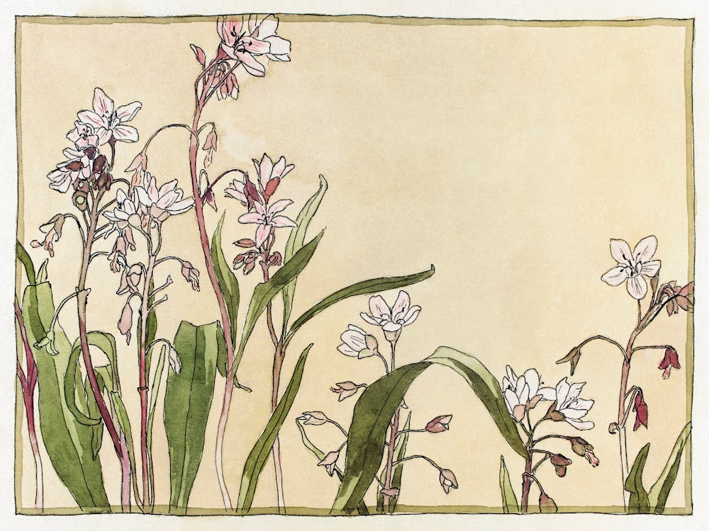 Spring Beauty (1915), Hannah Borger Overbeck