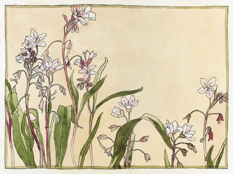 Spring Beauty (1915), Hannah Borger Overbeck