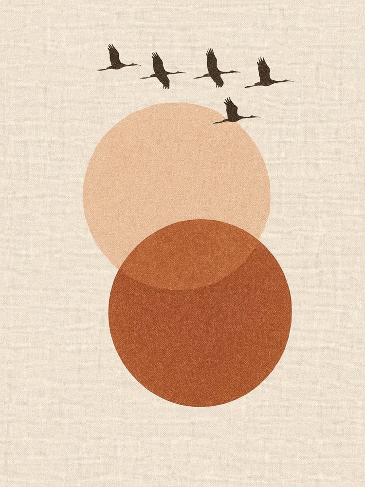 Birds In Flight