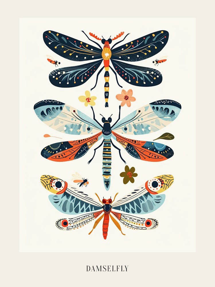Colourful Insect Illustration Damselfly 7 Poster