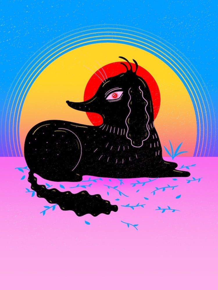 Dog In Sunset