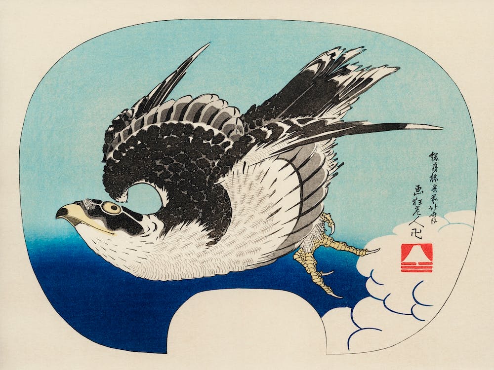 Die Ukiyo E Illustration, Falke von Katsushika Hokusai (1849), Katsushika Hokusai