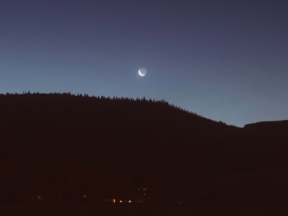 Moon Above Forest