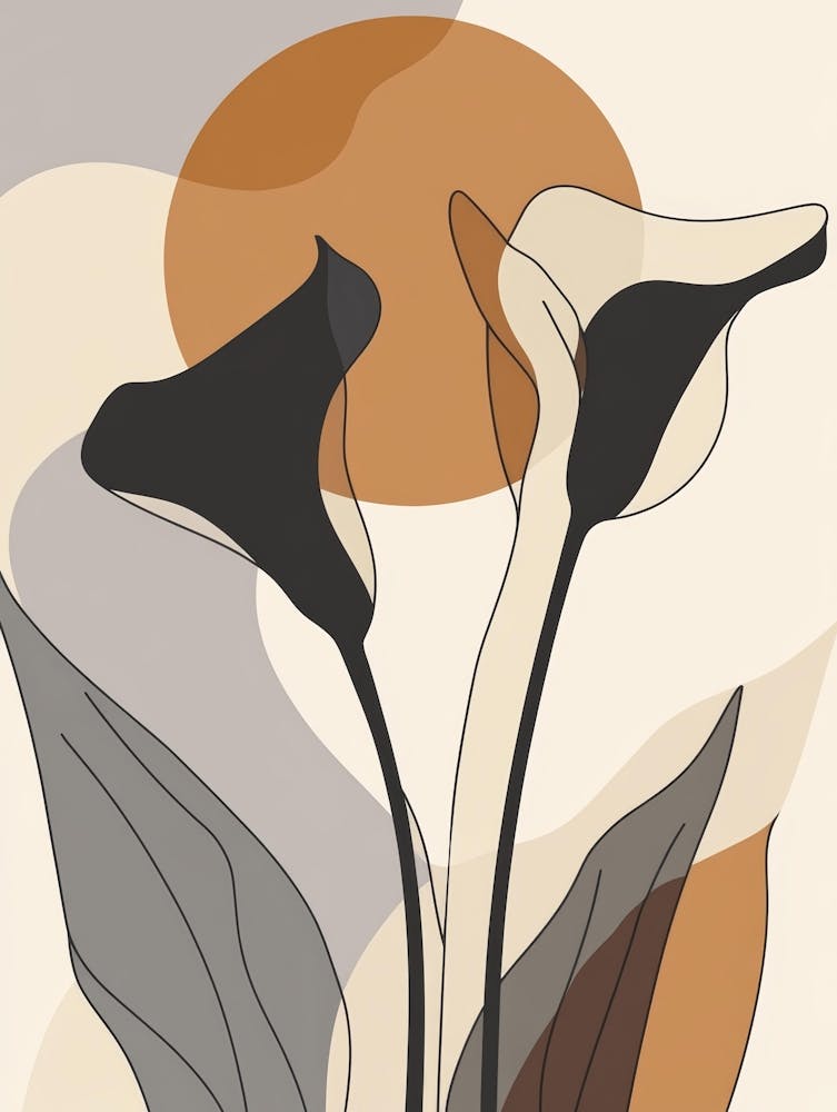 Calla 11