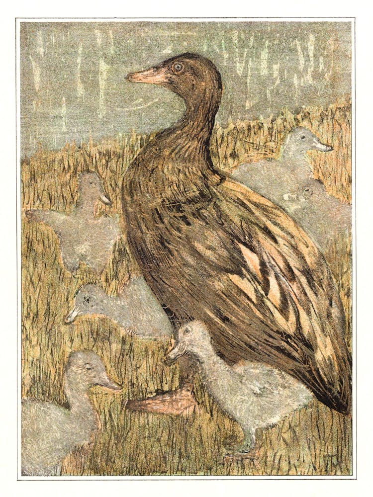Duck With Chicks At The Waterfront (1878–1909), Theo Van Hoytema