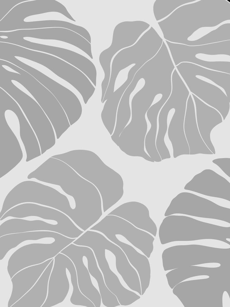 Monstera Leaves