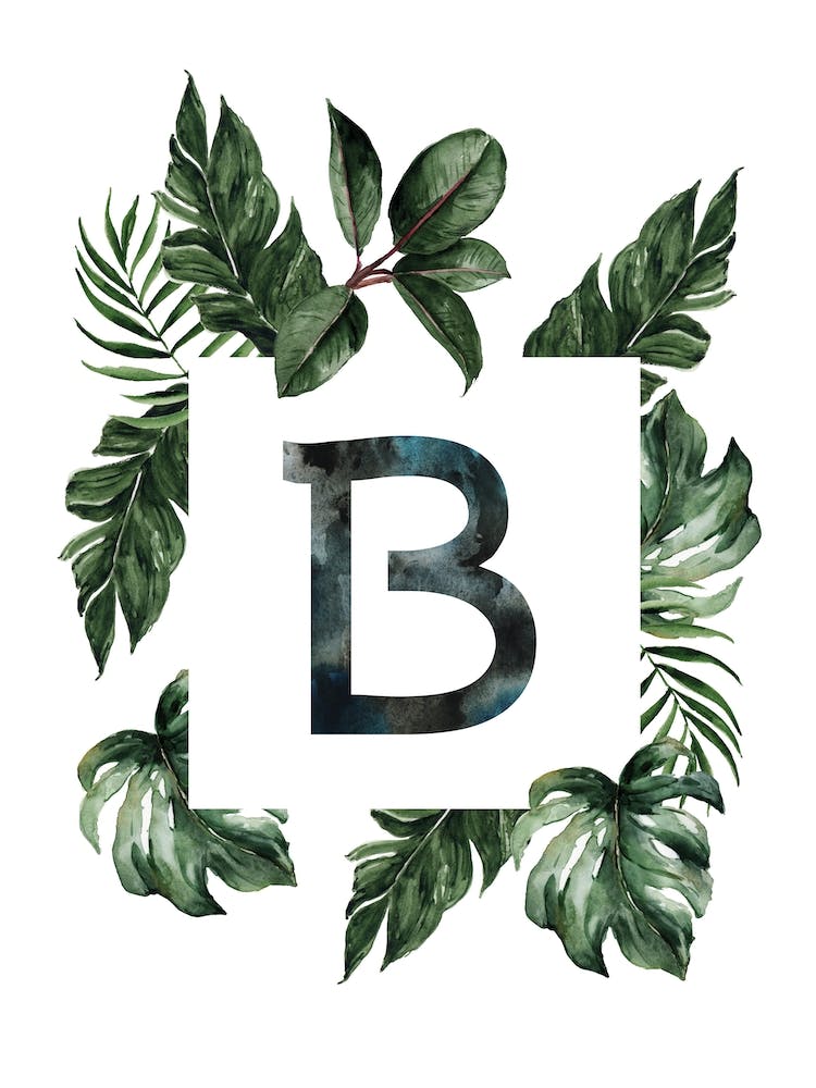 Botanical Alphabet B