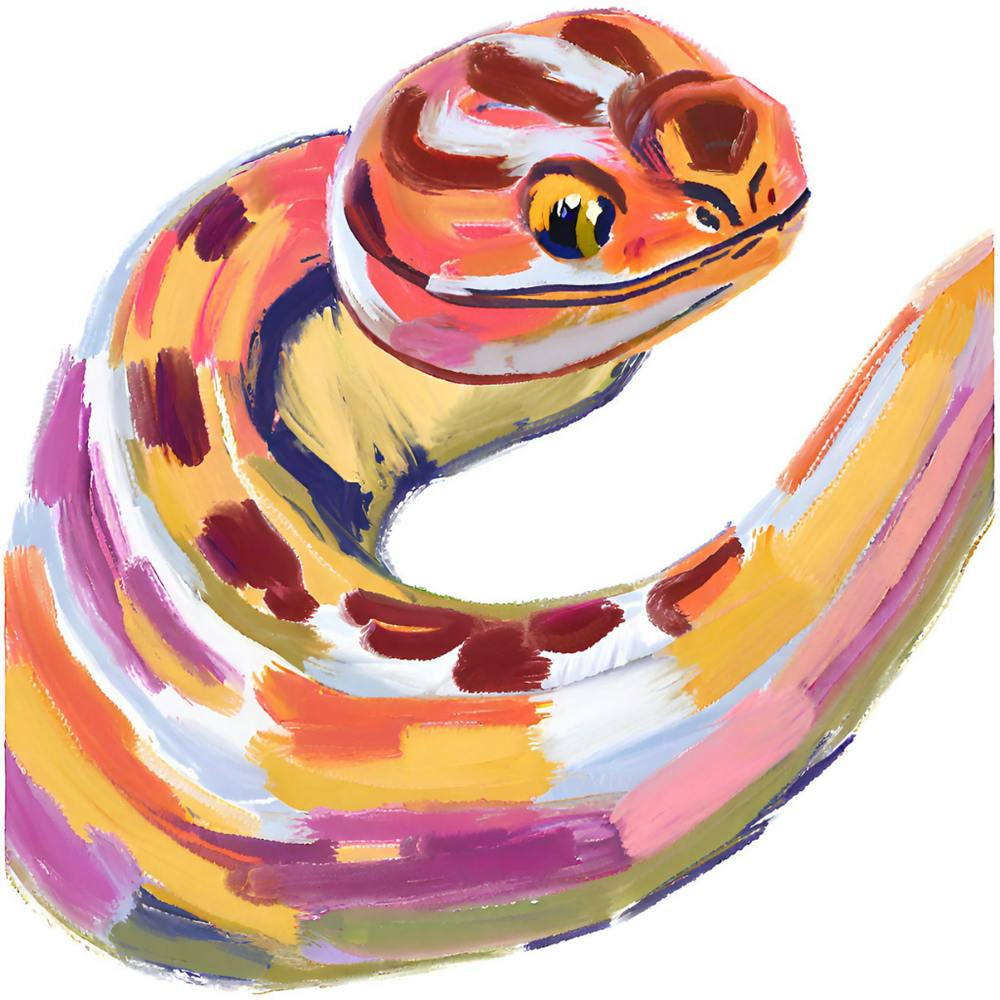 Corn Snake 01