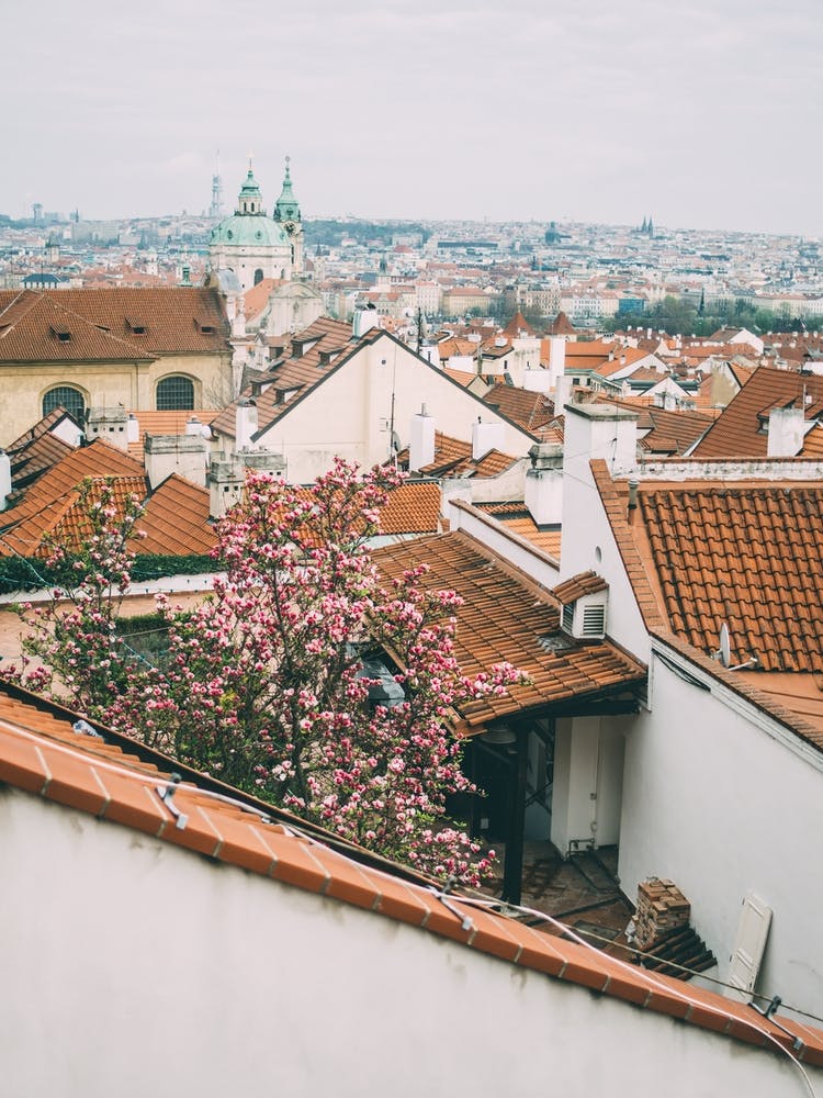 Spring In Prague
