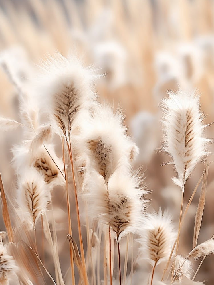 Boho Dried Flowers Everlasting Flower 2