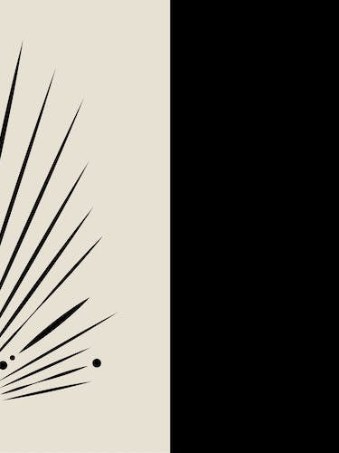 Sunshine After Moonlight