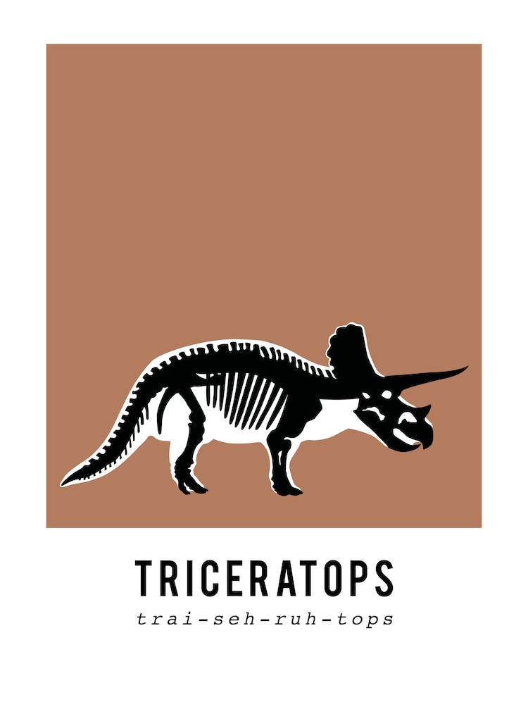 Triceratops, Dinosaur Boys Room Decor