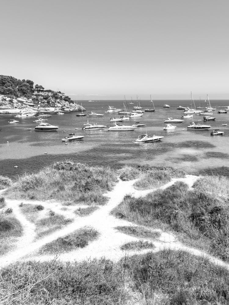 Black And White Photo Of Boats In The Bay