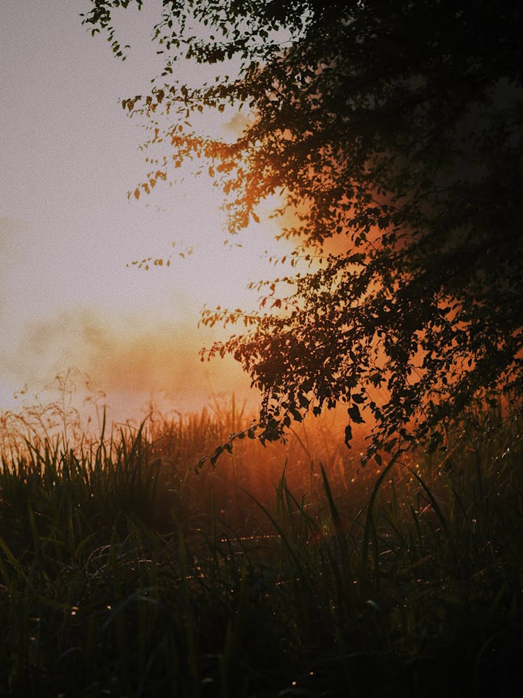 Sunrise Over A Lake