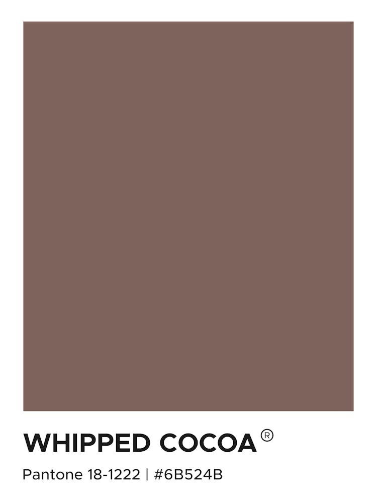 Whipped Cocoa Pantone, drinks, coffee, cocoa, kitchen, decor, brown, aesthteic, cool, cafe, minimal, modern, autumn, mood, vibes
