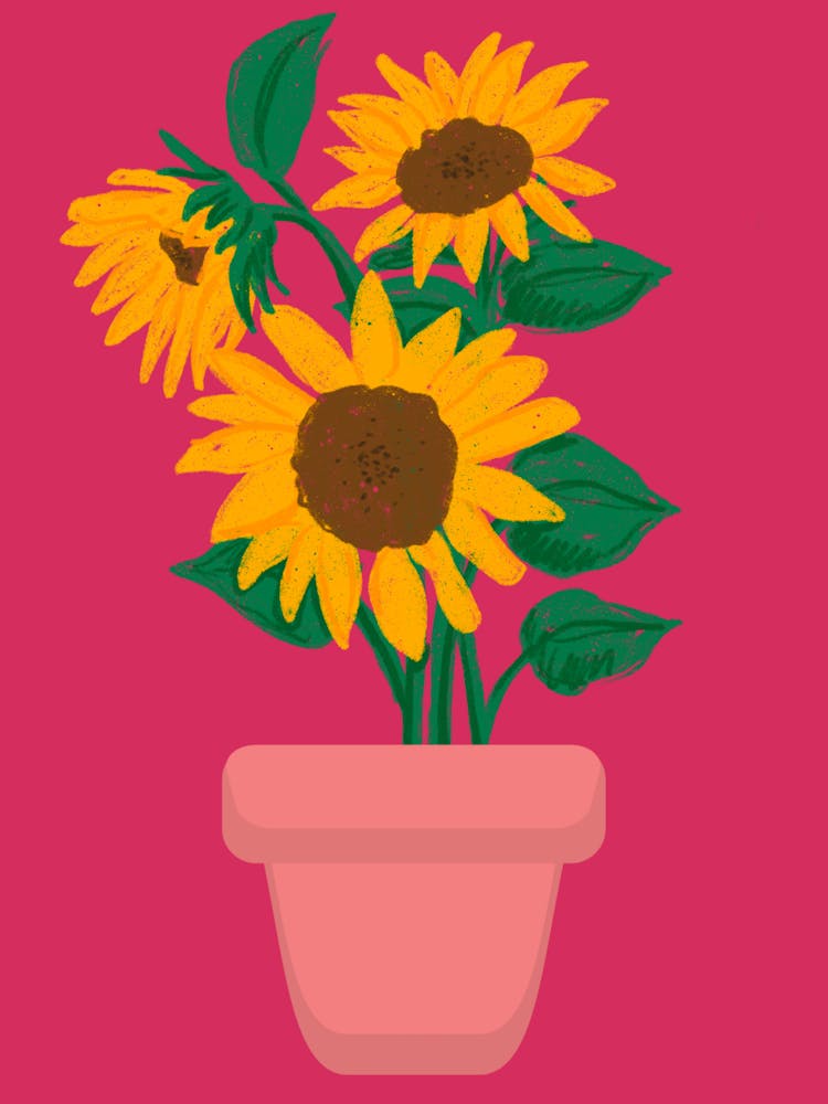 The Three Sunflowers