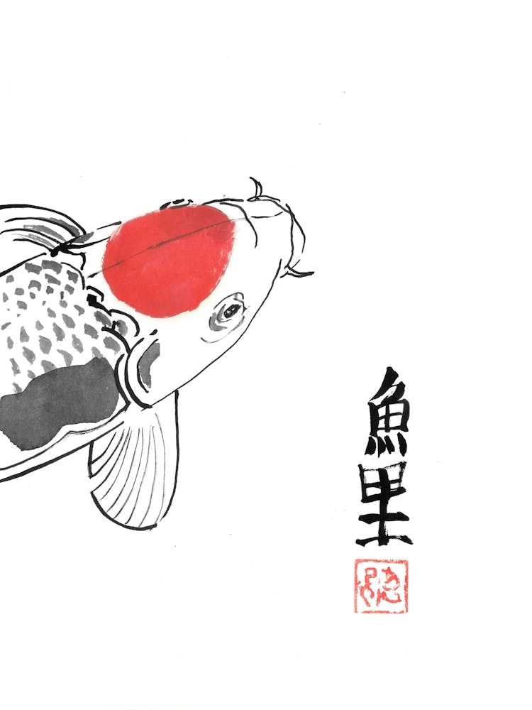 Carp Koi 1