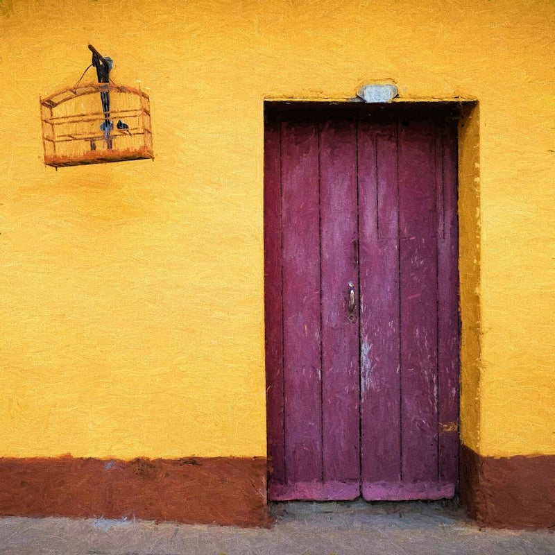 Caged Birds And Doorway Square