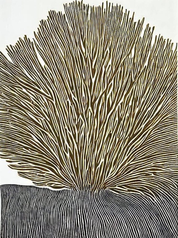 Acropora Clathrata Linocut