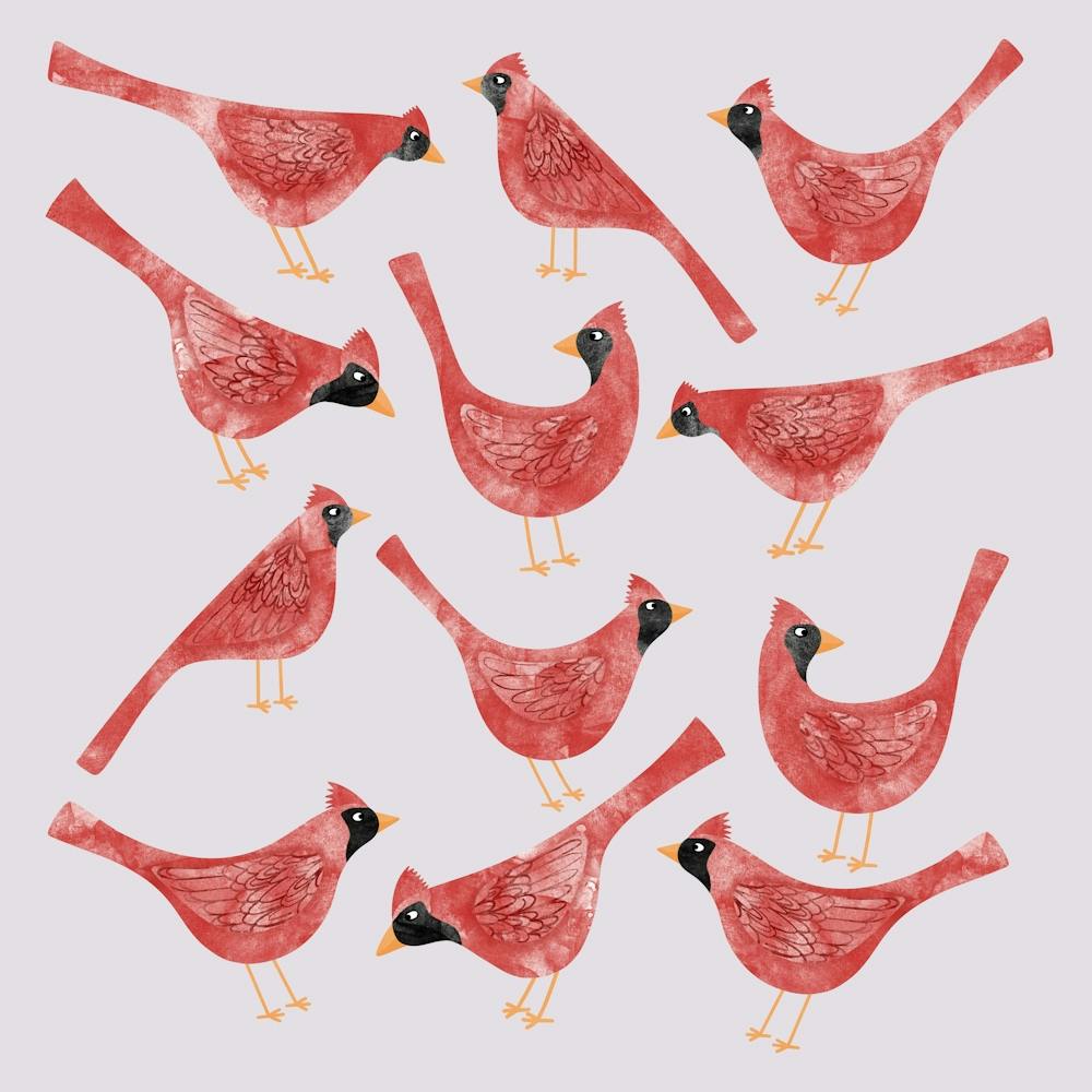 Red Cardinal Birds