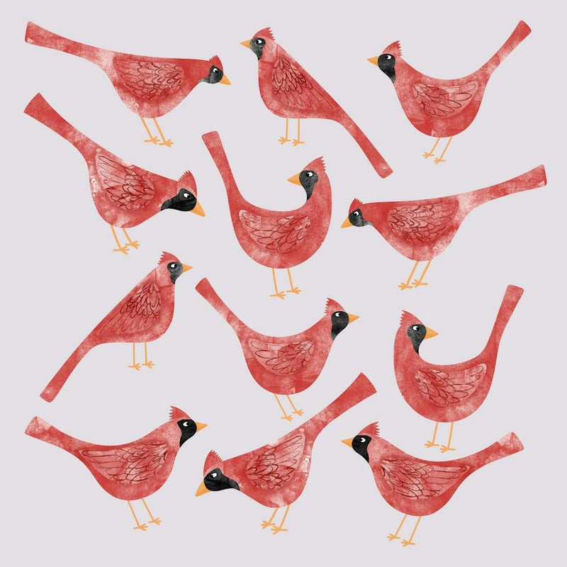 Red Cardinal Birds